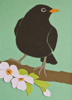 Mail - Anne Bulman - Outlook